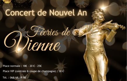 Concert de Nouvel An - Féeries de Vienne